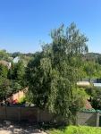 Квартира/комната