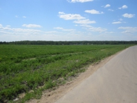 Большой участок