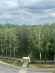 Квартира/комната
